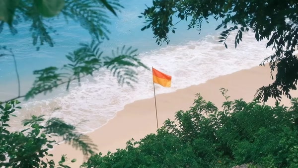 A flag moving between trees and sea